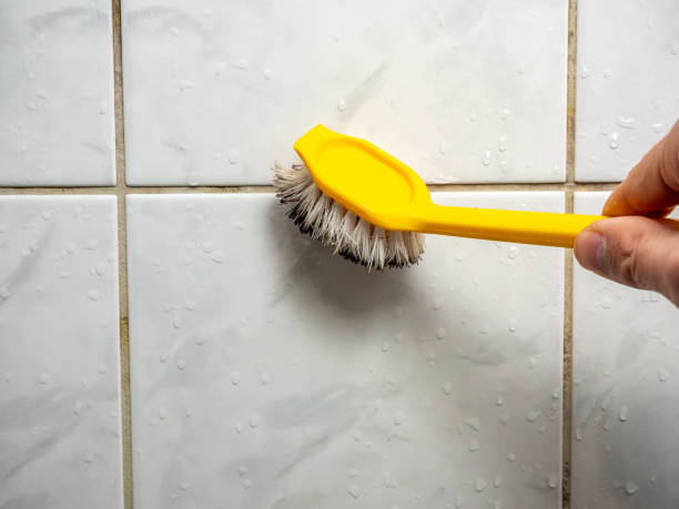 Best Fast Mold Removal  in Rogue River, OR
