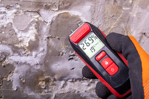 Home Mold Removal in Rogue River, OR